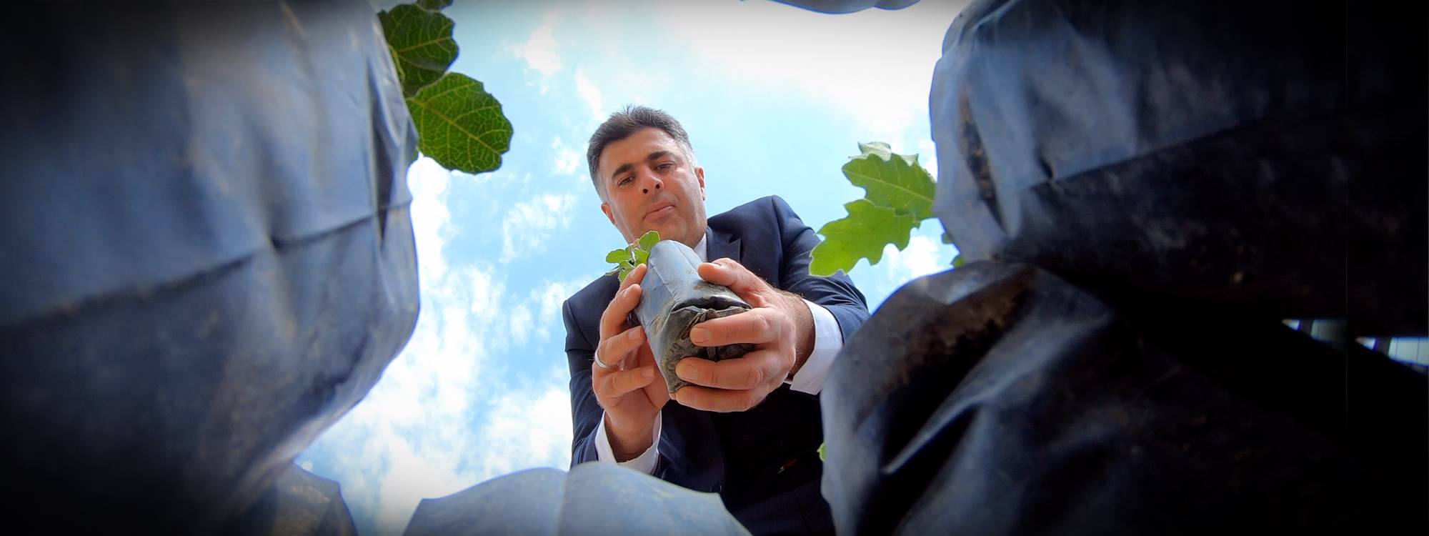 Soran preacher plants thousands of oak trees across Kurdistan Region