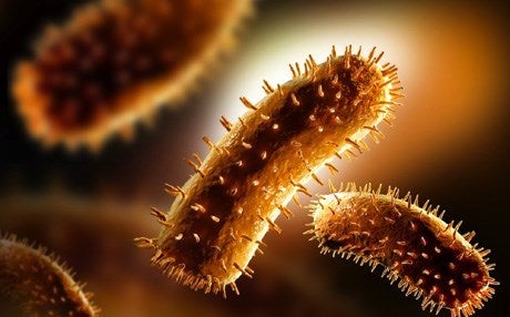 ��� ������� 