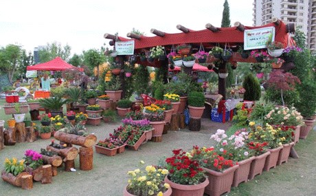 طريقة حفظ الورد الطبيعي في الثلاجة