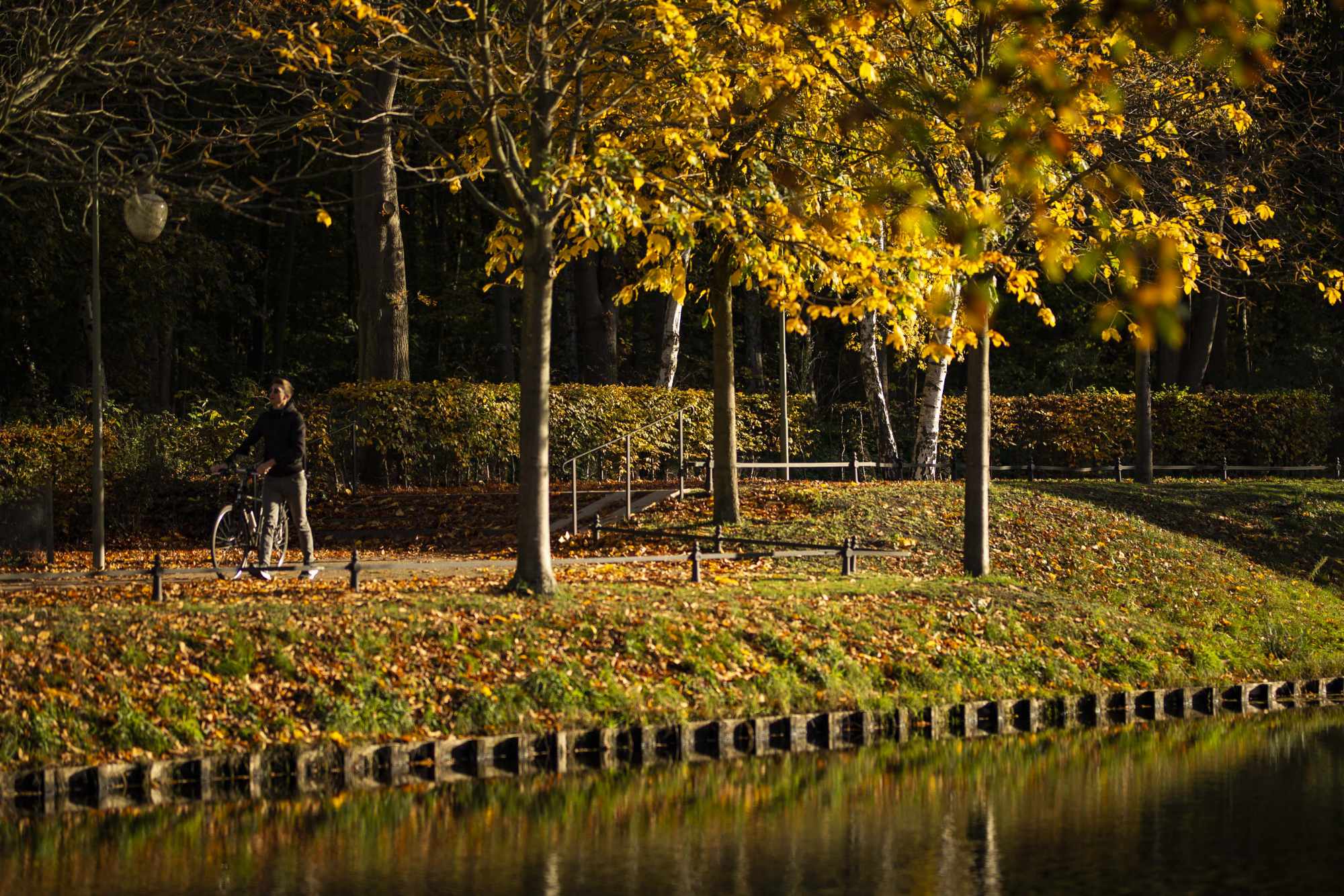 Fotoğraflarla Berlin’de sonbahar
