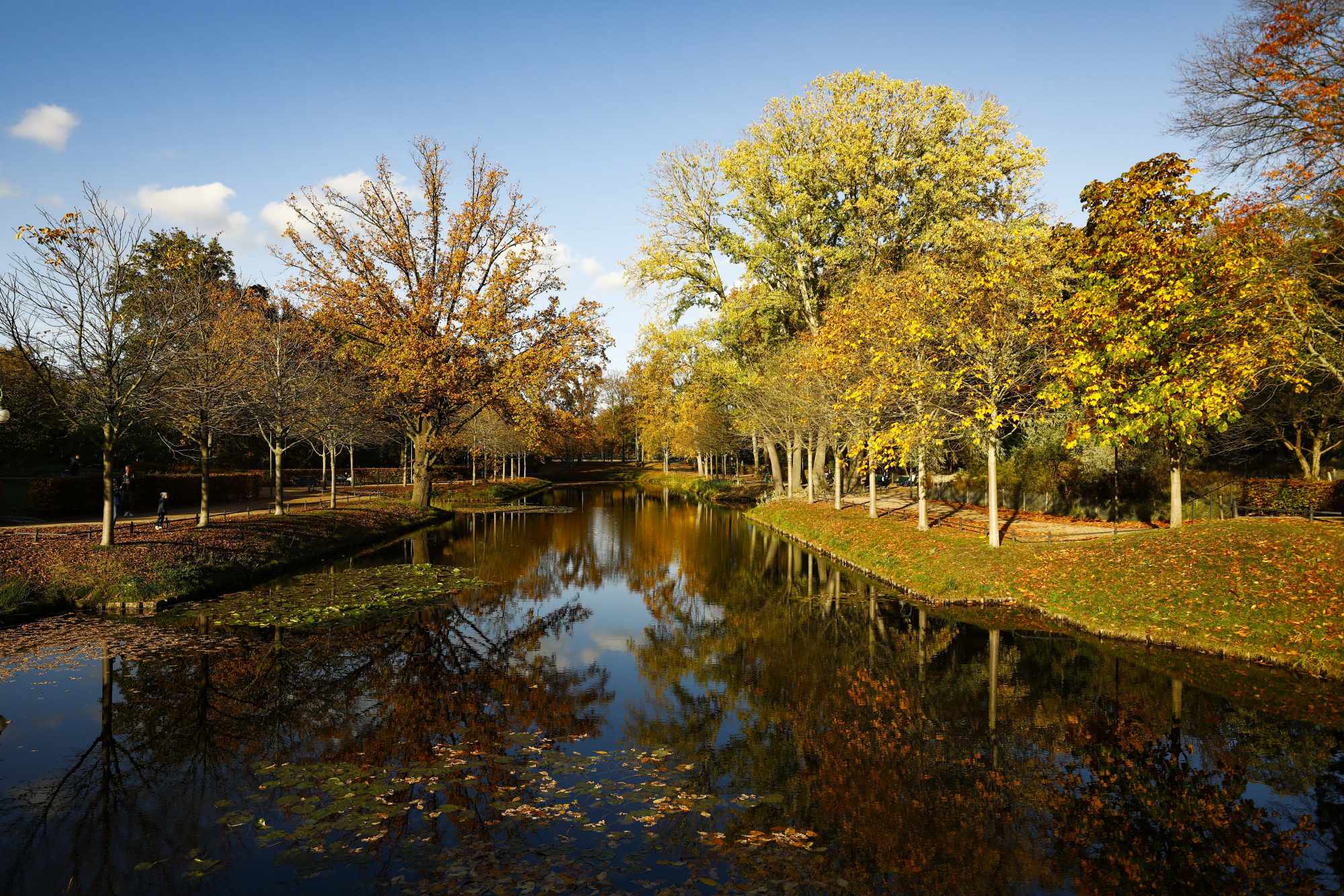 Fotoğraflarla Berlin’de sonbahar