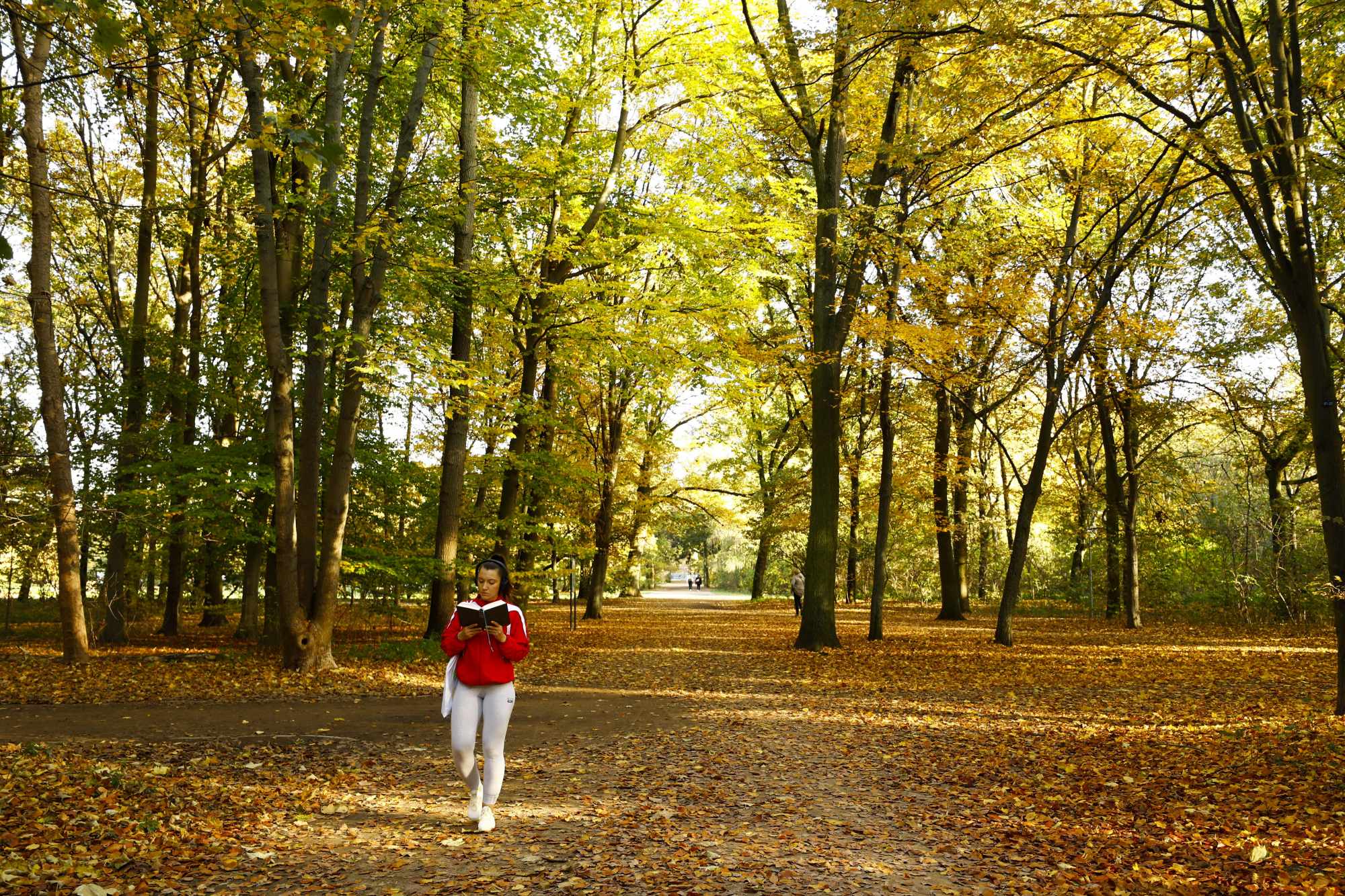Fotoğraflarla Berlin’de sonbahar
