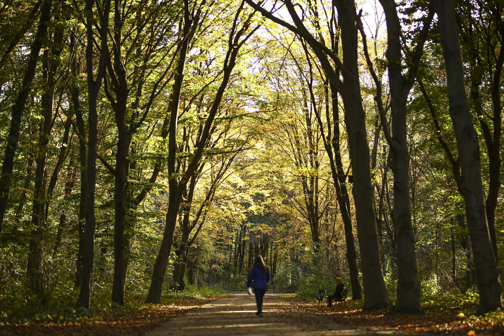 Fotoğraflarla Berlin’de sonbahar