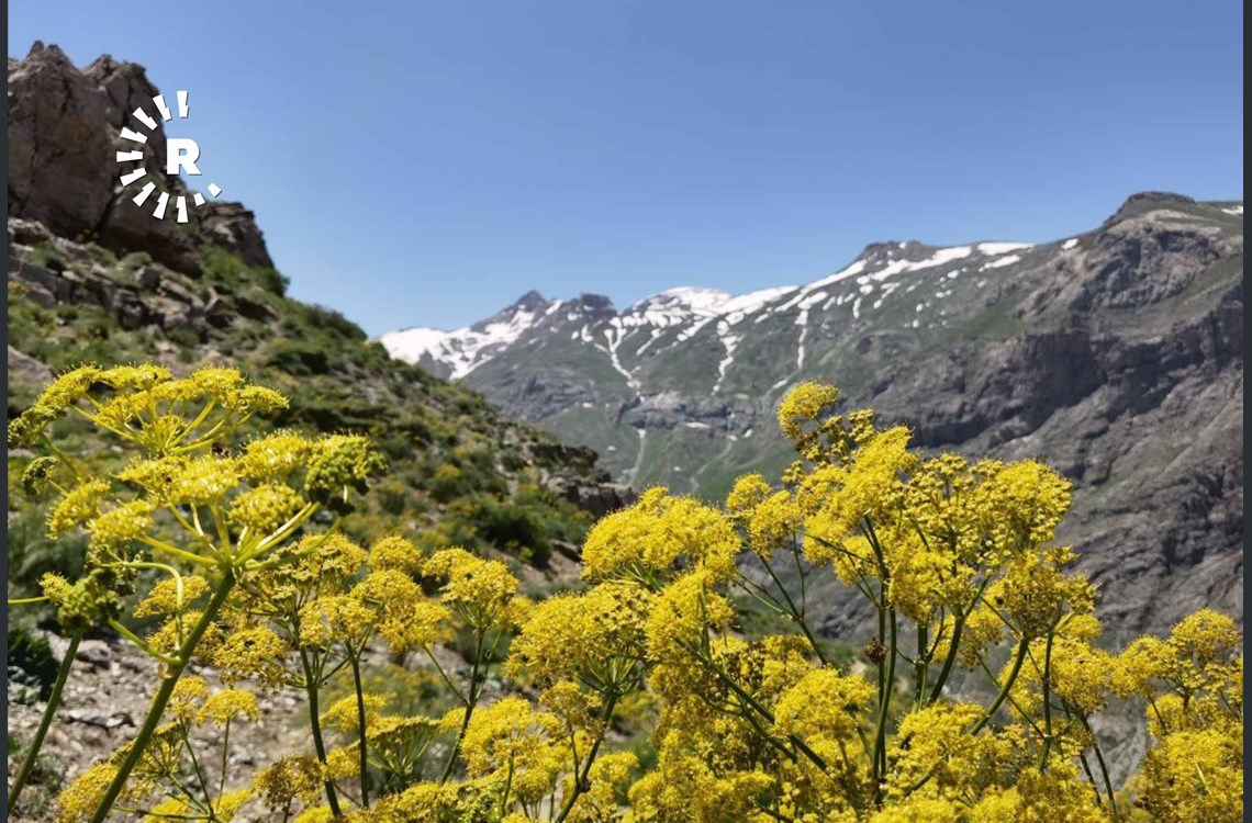 30-05-2021 2 30-05-2021 2