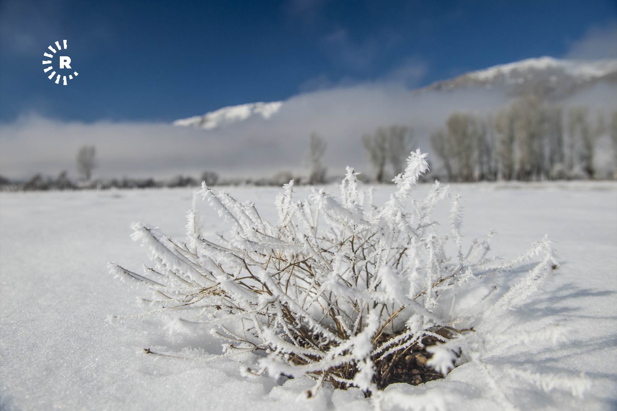 Viola bilan super sikish