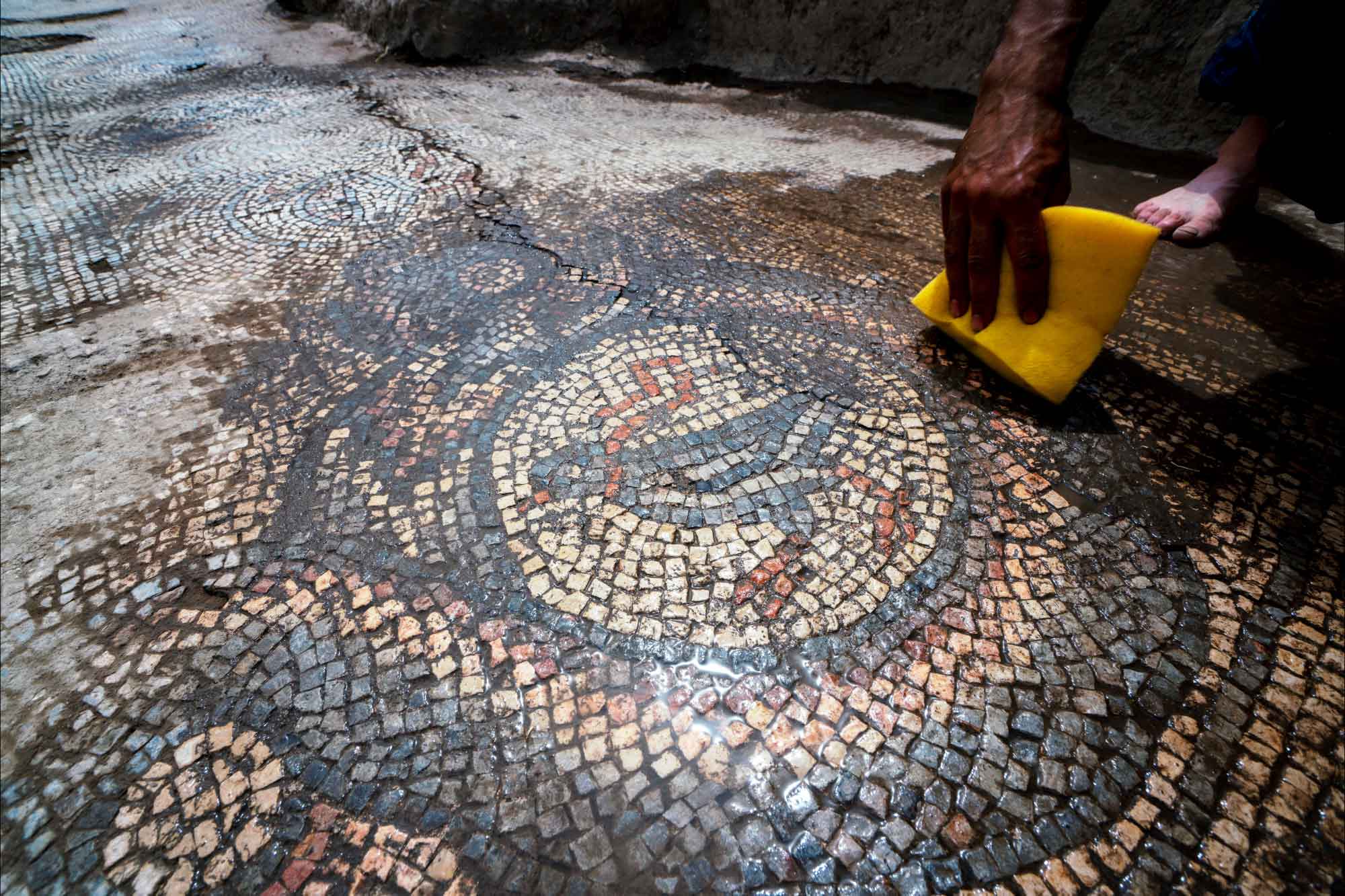 античная мозаика раскраска. античная мозаика рыбы. нашли мозаику. нашли мозаику. мозаичный пол раскопки.