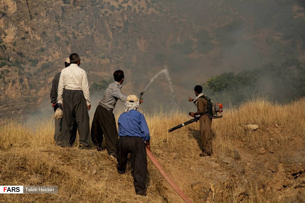 ژینگەپارێزان لە کاتی کوژاندنەوەی ئاگری دارستانەکانی پاوە