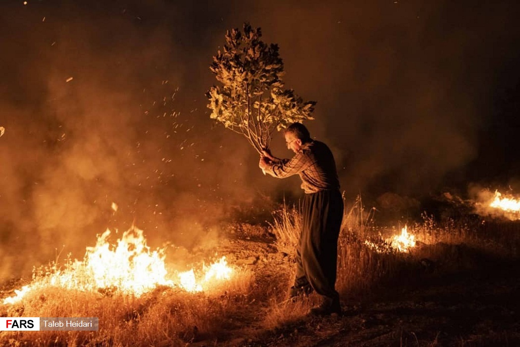 هاووڵاتییەک بە چڵەدار ئاگری دارستانەکانی پاوە دەکوژێنێتەوە