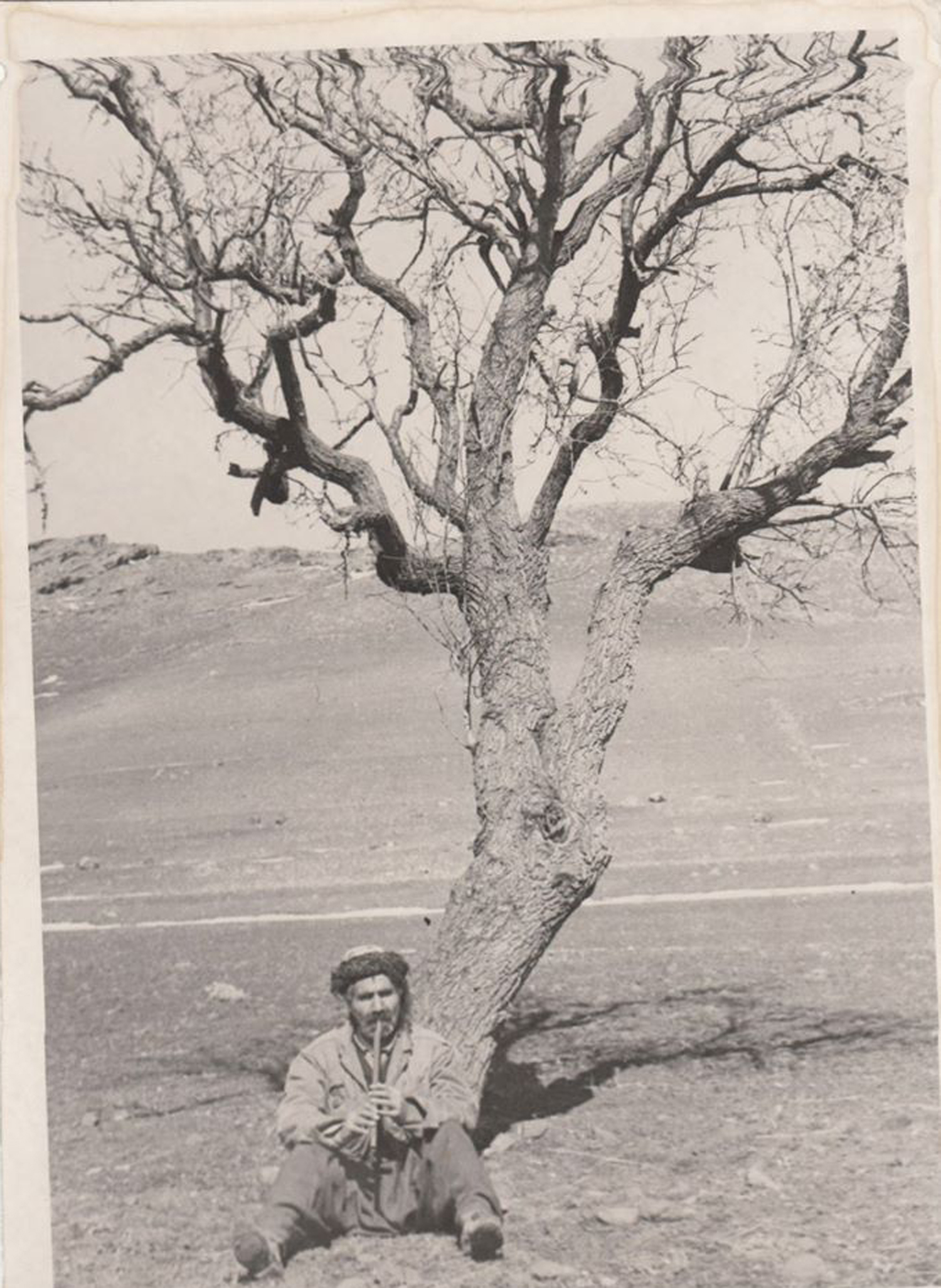 وێنەکەی لەڕێگەی نێوان مهاباد - بۆکان گیراوە