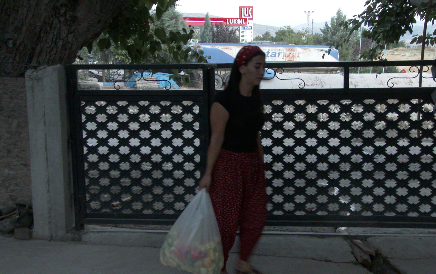 Mazgirt Göktepe Köyü'nde yaşayor