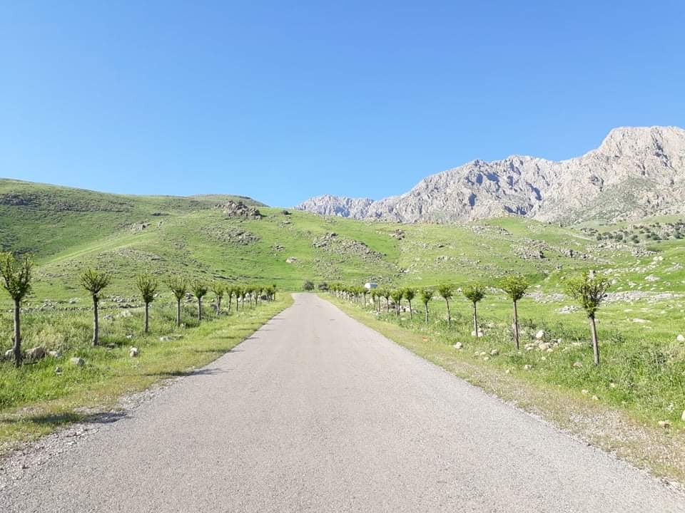 چاندنی دار لە دەرەوەی خورماڵ