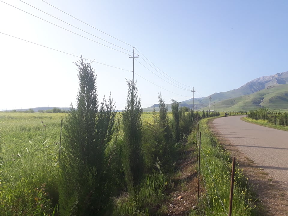 چاندنی سنەوبەر لەم بەر و ئەوبەری رێگا