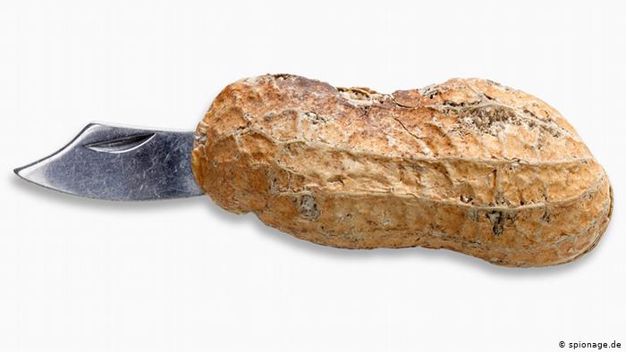 چه‌قۆیه‌ك له‌ شێوه‌ى عەلی بابا