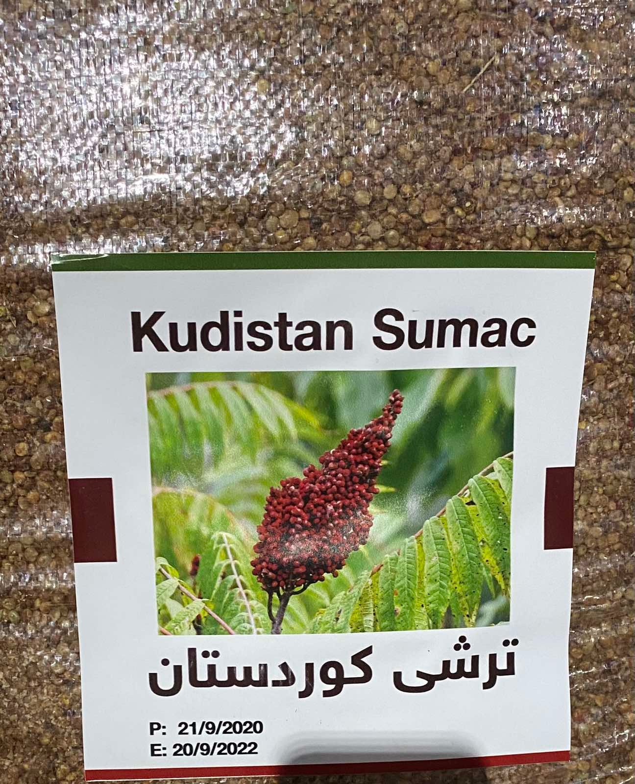 ترشی کوردستان لە بەریتانیا، وێنە؛ ئارام بەڵخەیی 