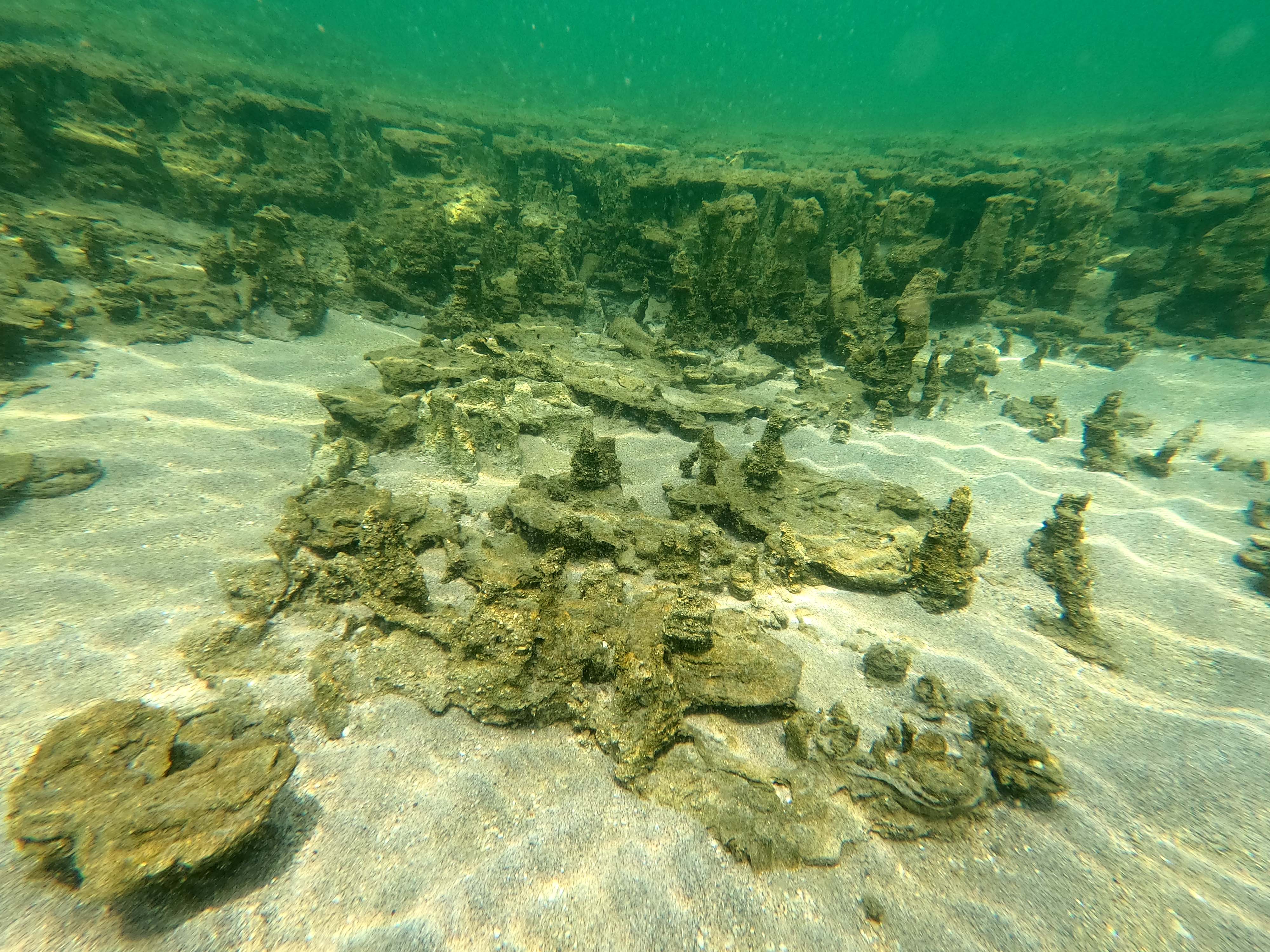 Foto: Ali Ethem Keskin / AA