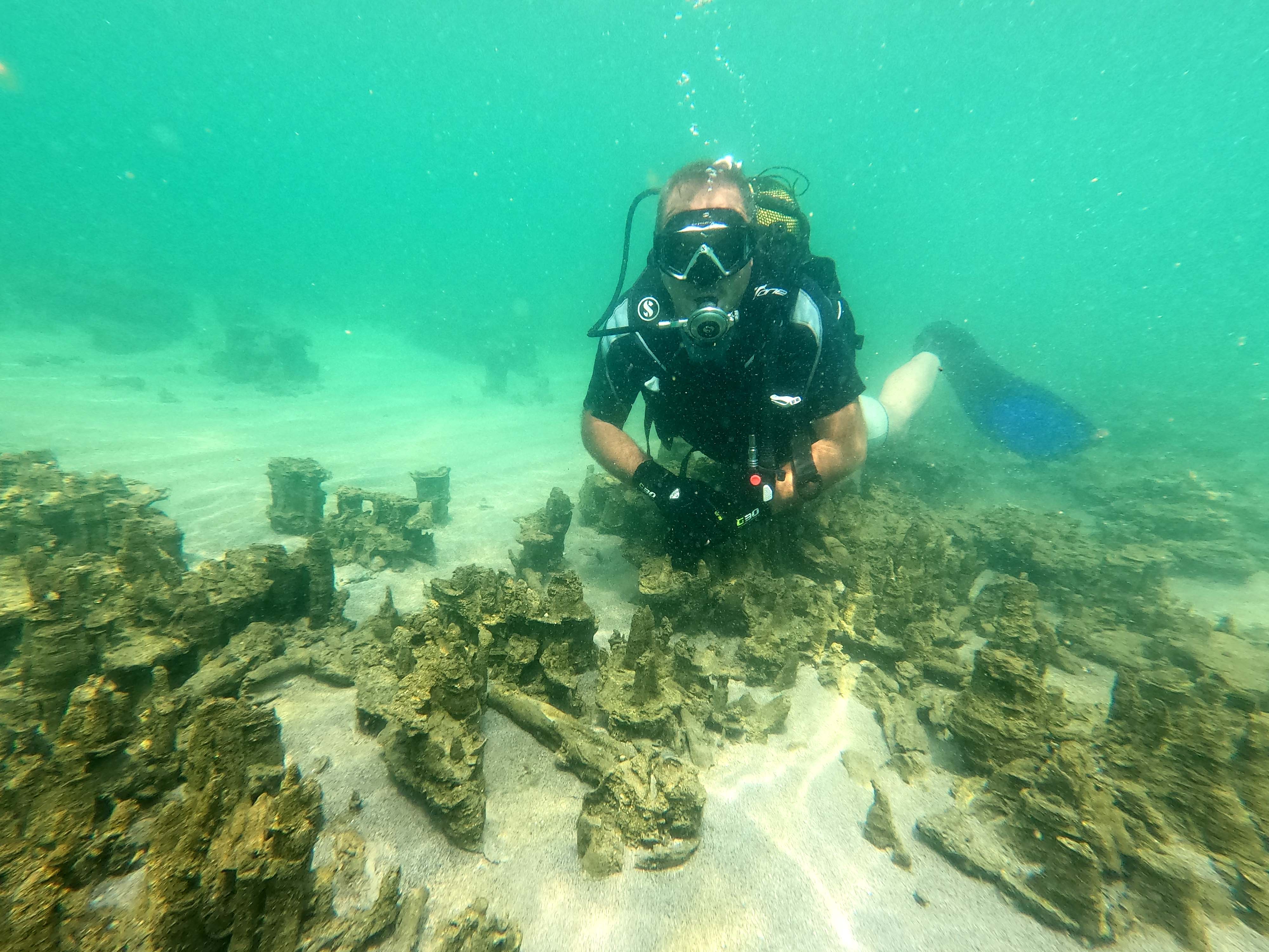 Foto: Ali Ethem Keskin / AA