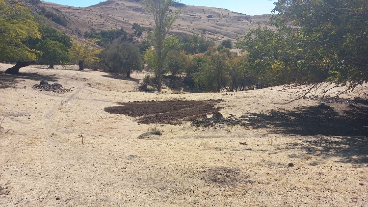 Foto: Ali Haydar Gözlü / Rûdaw