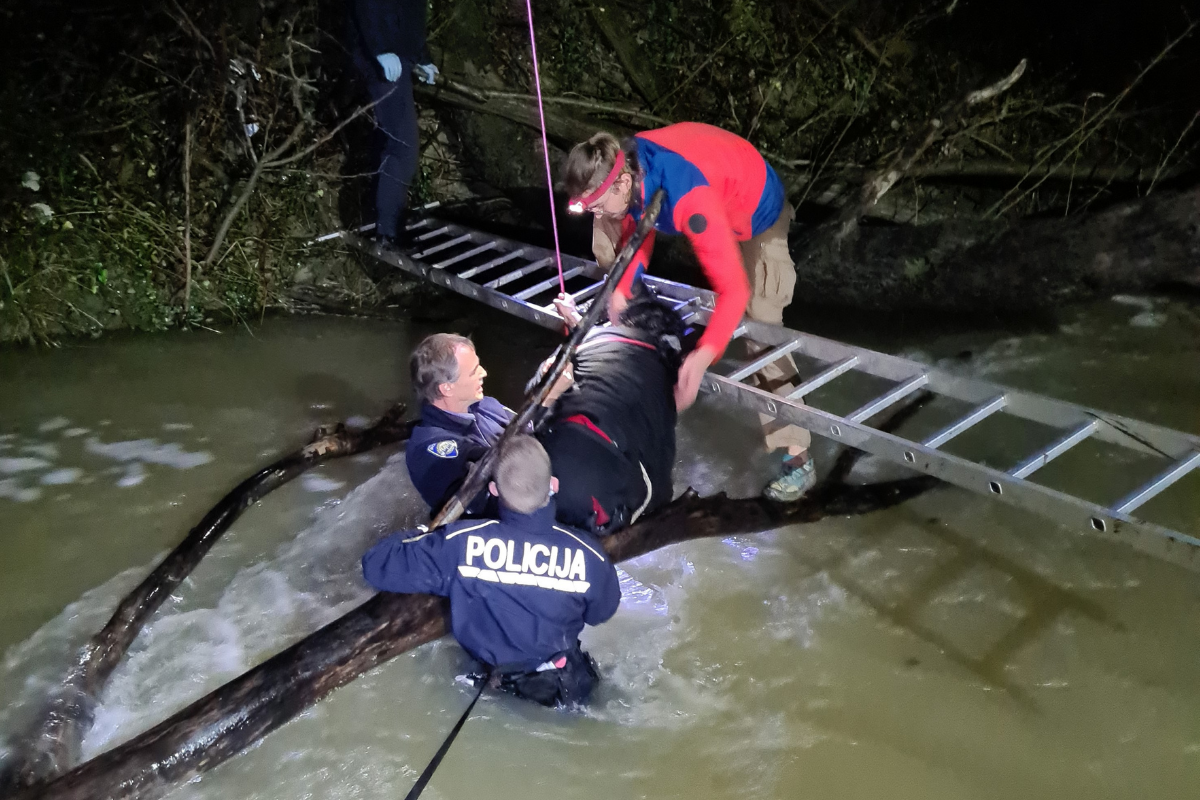 کاتی دۆزینەوەی تەرمی کۆچبەرە کوردەکە کاتی دۆزینەوەی تەرمی کۆچبەرە کوردەکە