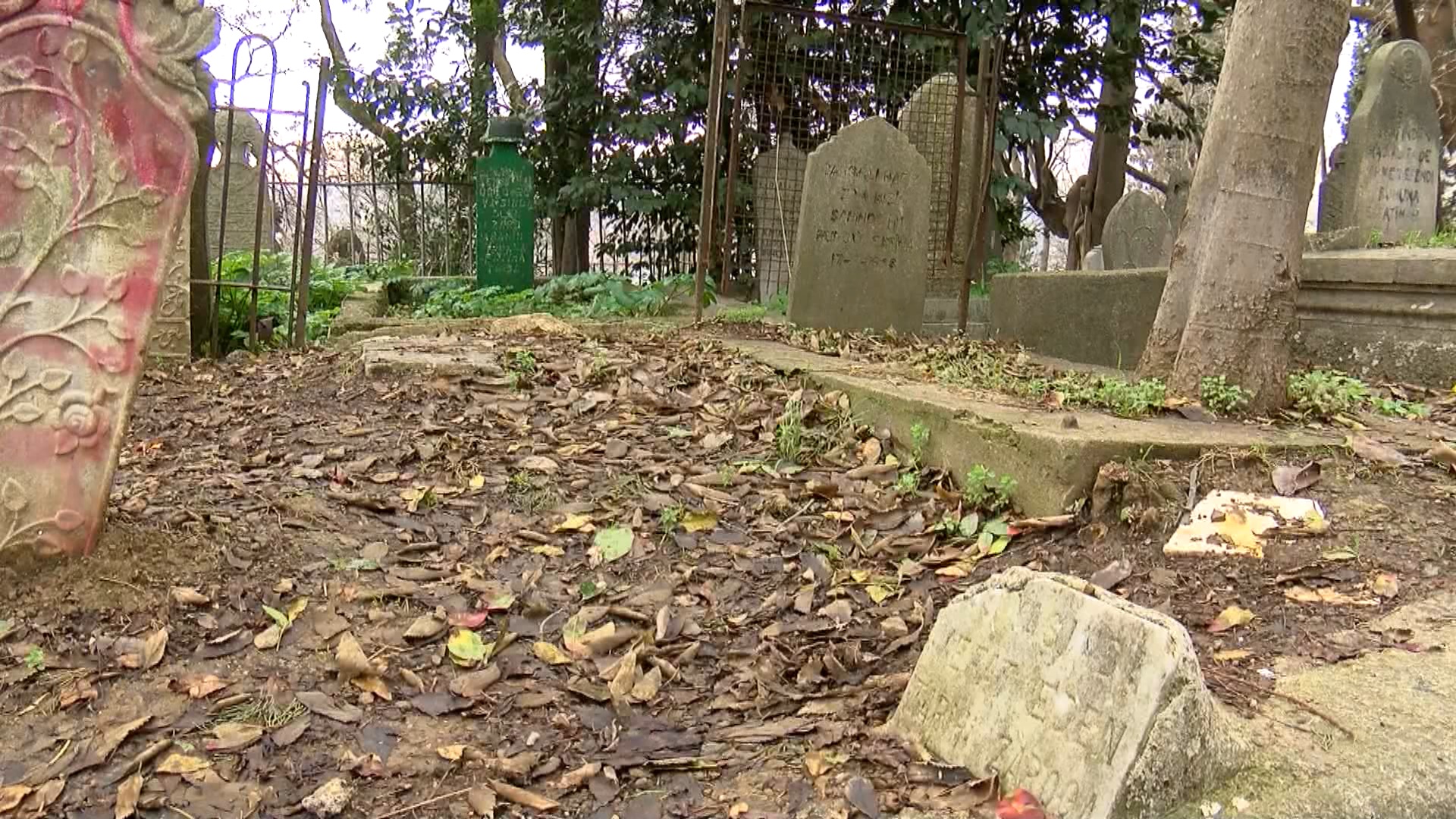 Zaro Ağa'nın mezarı (Foto: DHA)