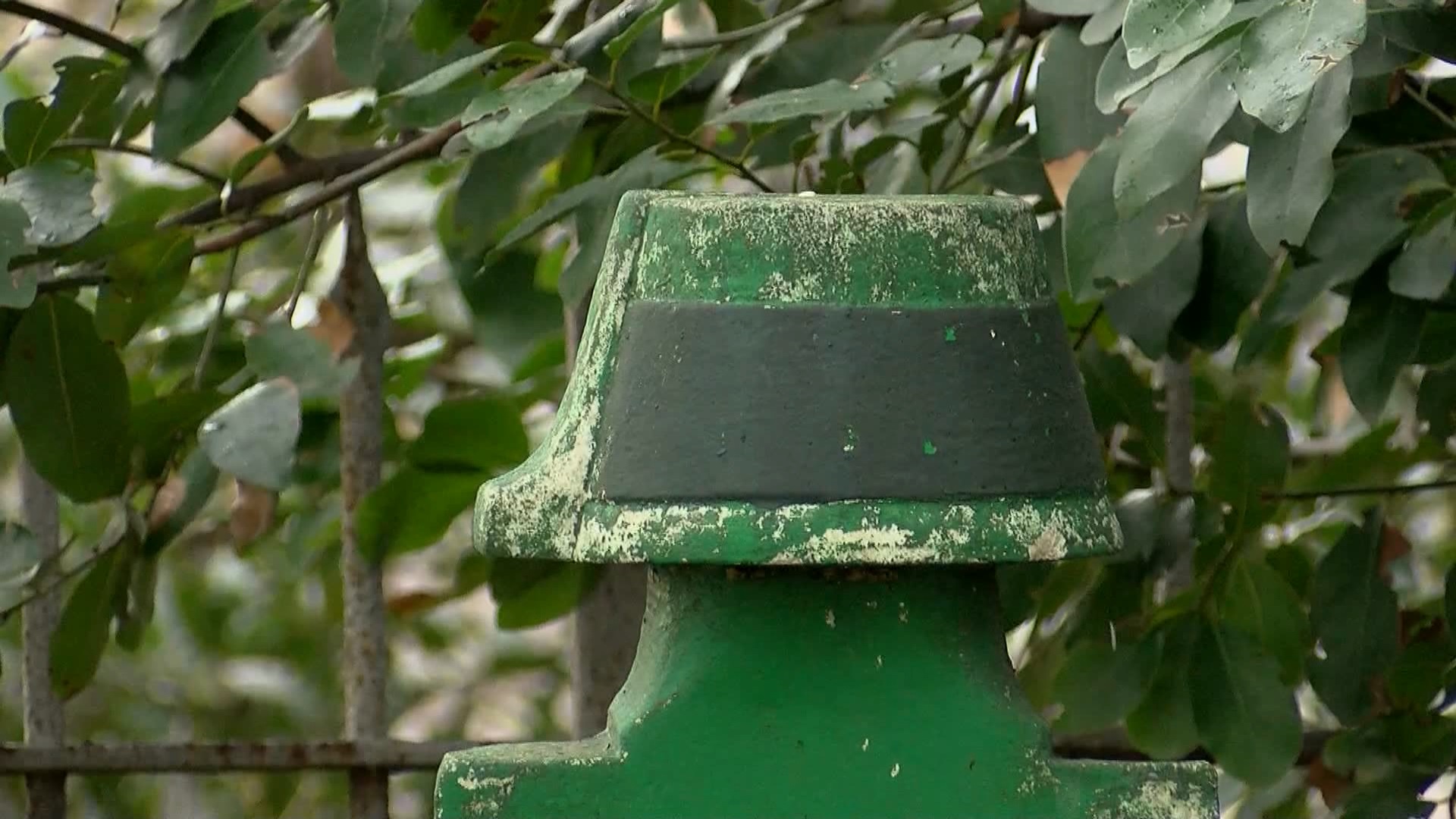 Zaro Ağa'nın mezar taşının yeşile boyandığı kaydedildi