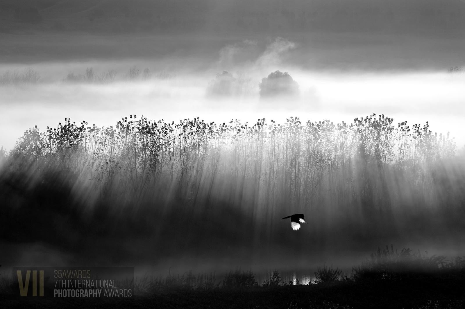 Foto: Mehmet Masum Süer