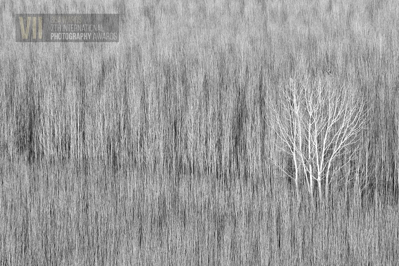 Foto: Mehmet Masum Süer