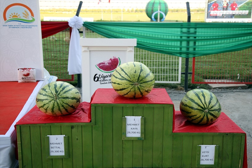 Dîmeneke ji 6. Festîvala Zebeşên Amedê