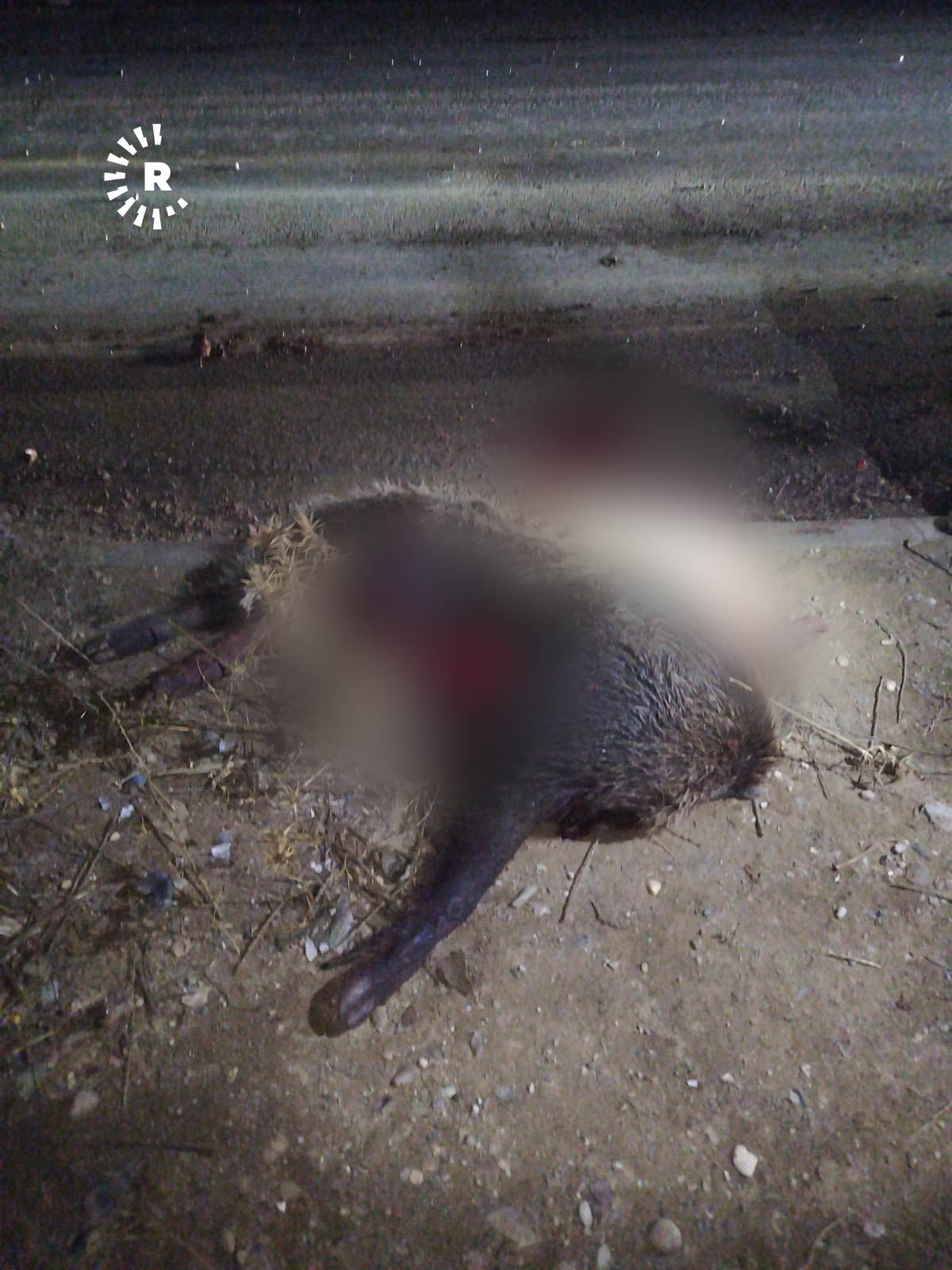 Berazê ku bû sedema qezaya trafîkê