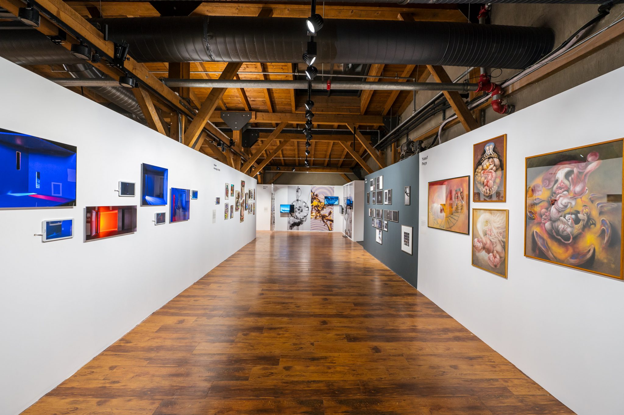 Foto: Mamut Art Project