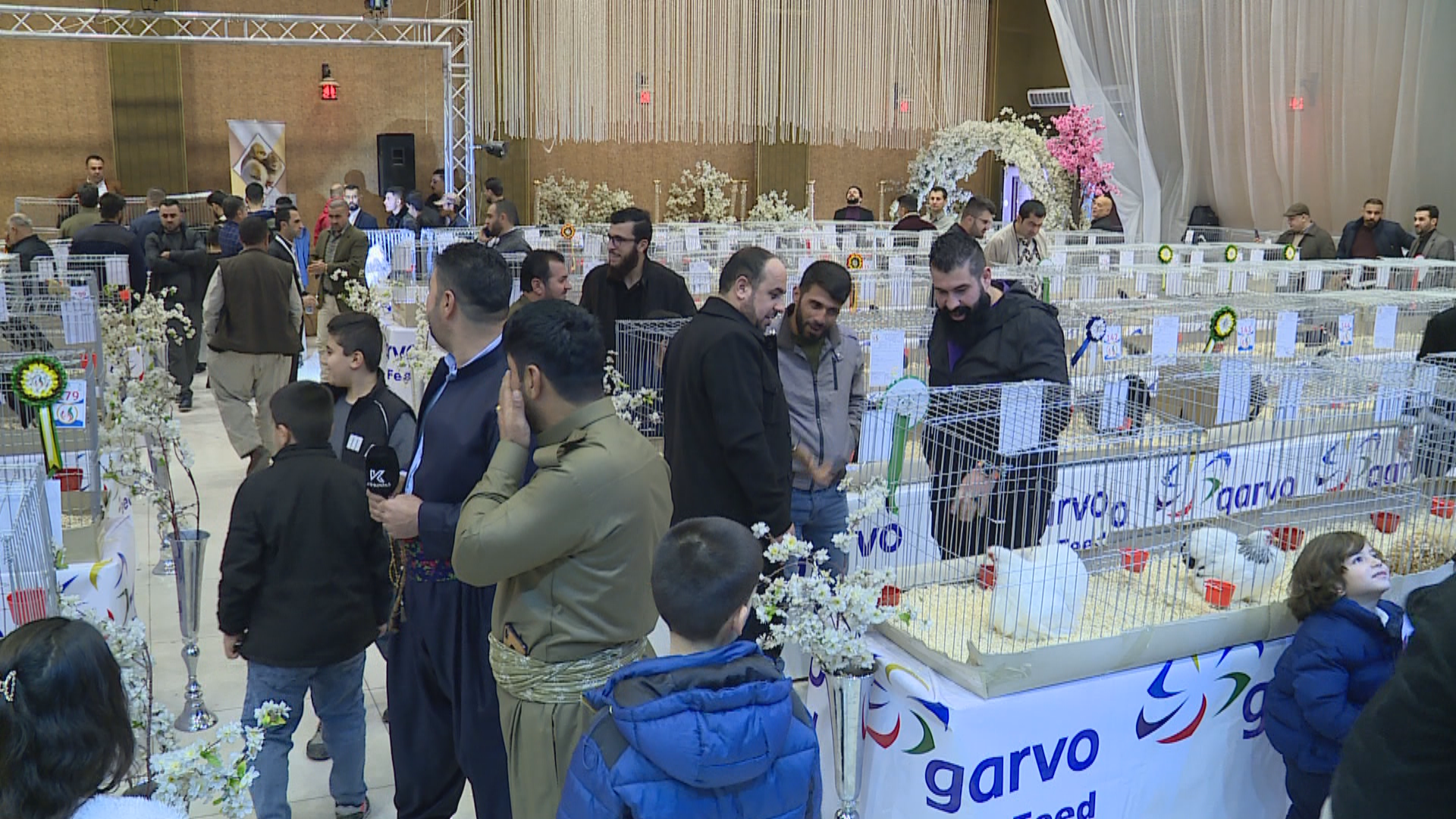 Hens and roosters festival in Erbil. Date: December 23, 2022. Photo: Rudaw