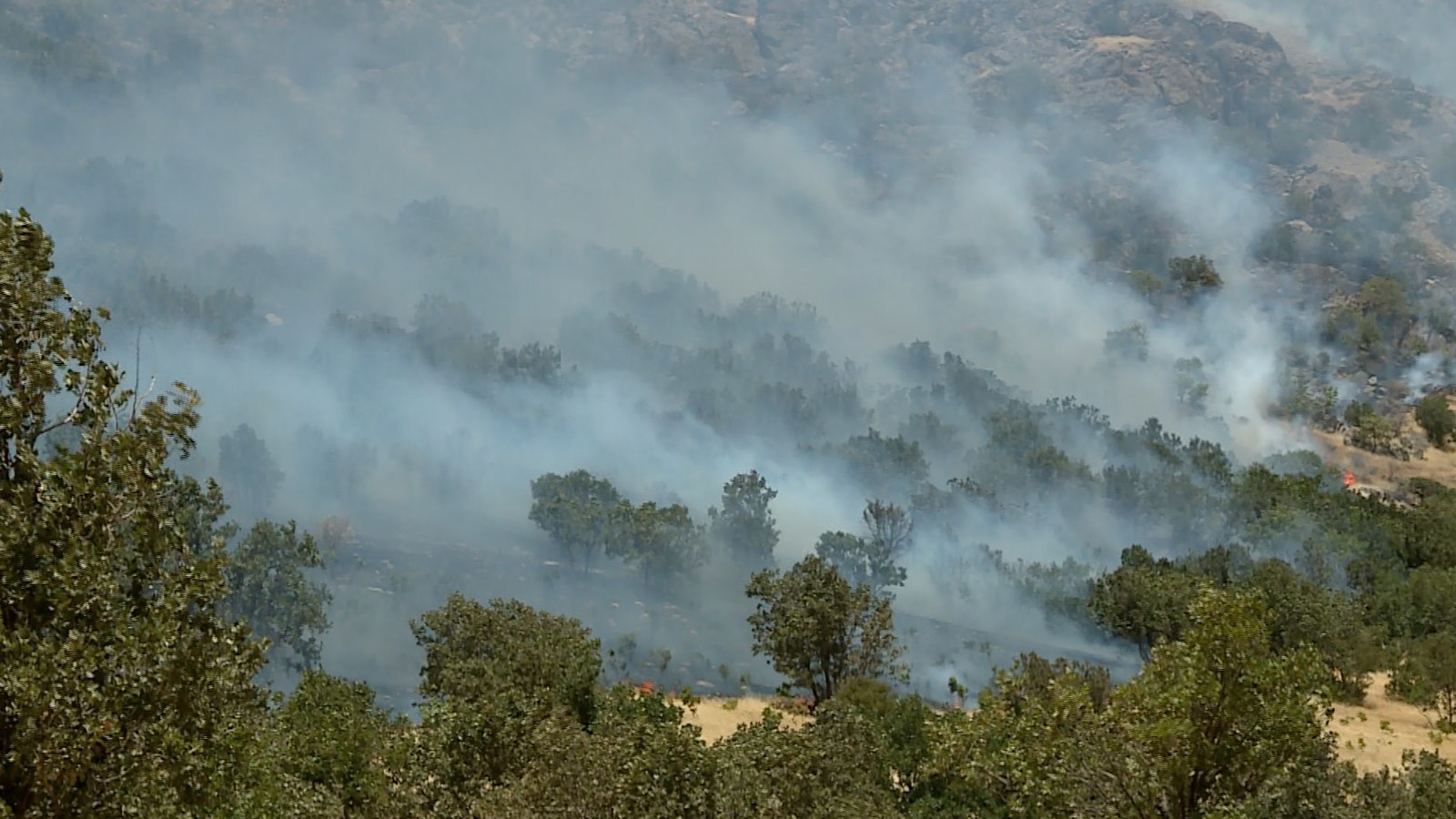 ئاگرەکەی سنووری باڵەکایەتی، وێنە: ئەندام جەبار - رووداو