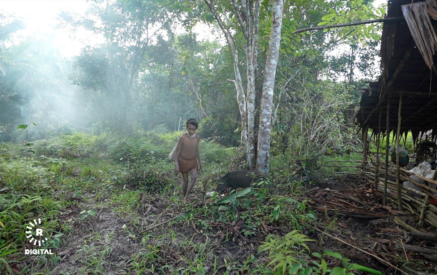 ژنێکی کۆرۆوایی.