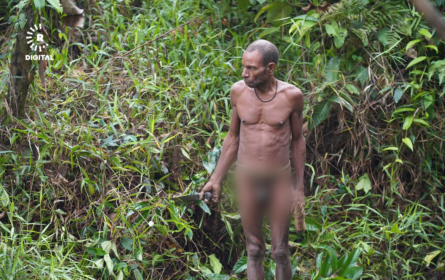 پیاوێکی کۆرۆوایی.