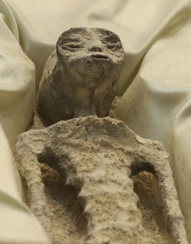 Sergilenen 'uzaylı fosillerinden' kare