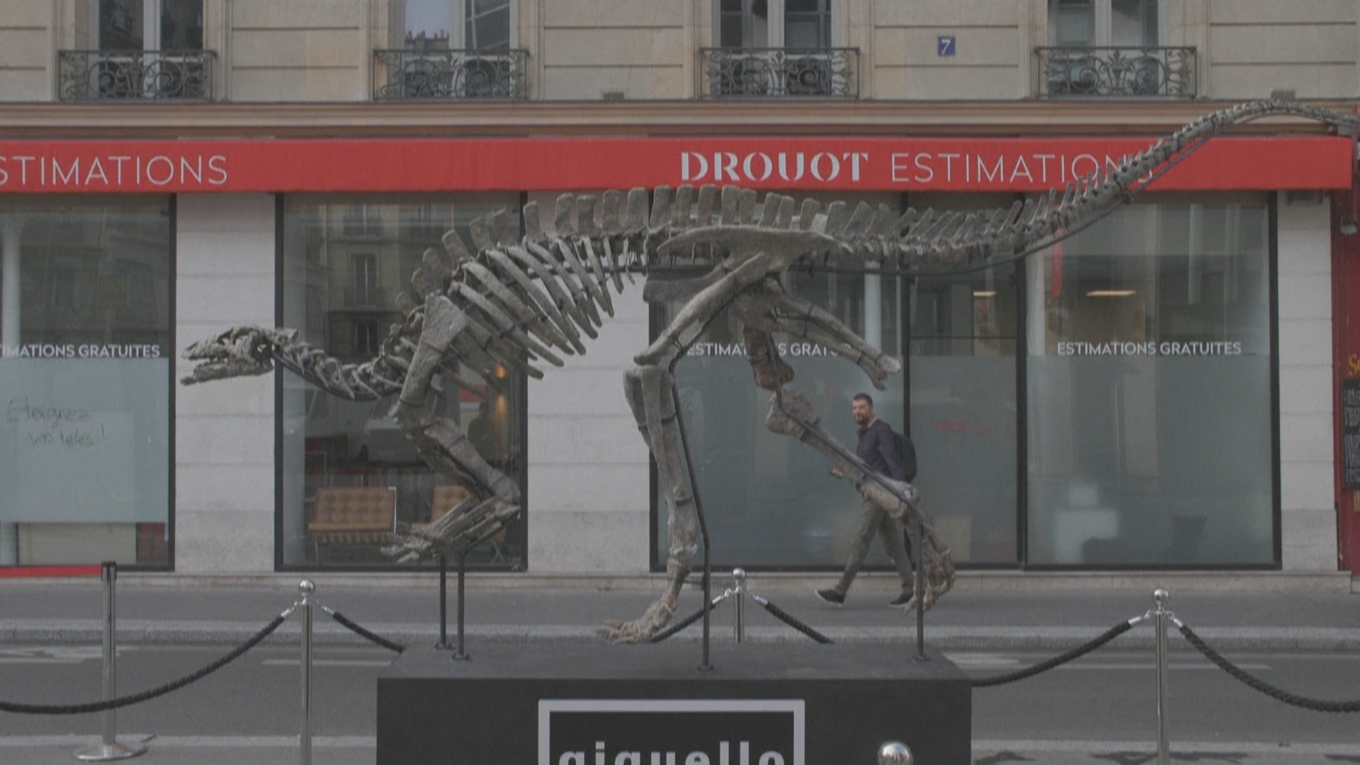 نمایشکردنی ئێسکەپەیکەری داینەسۆرەکە