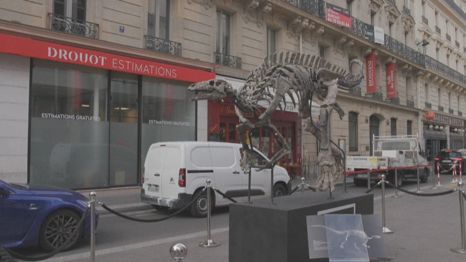 نمایشکردنی ئێسکەپەیکەری داینەسۆرەکە