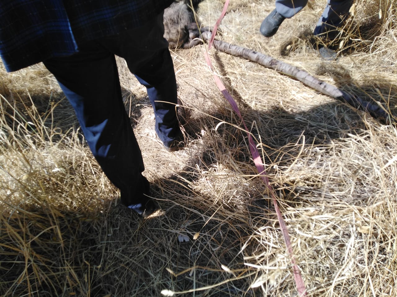 ساتی رزگارکردنی بەرازێک لە بیرێکی ئاودا لە قەزای ئامێدی، وێنە : د.سڵێمان تەمەر بۆ رووداو ناردوونی