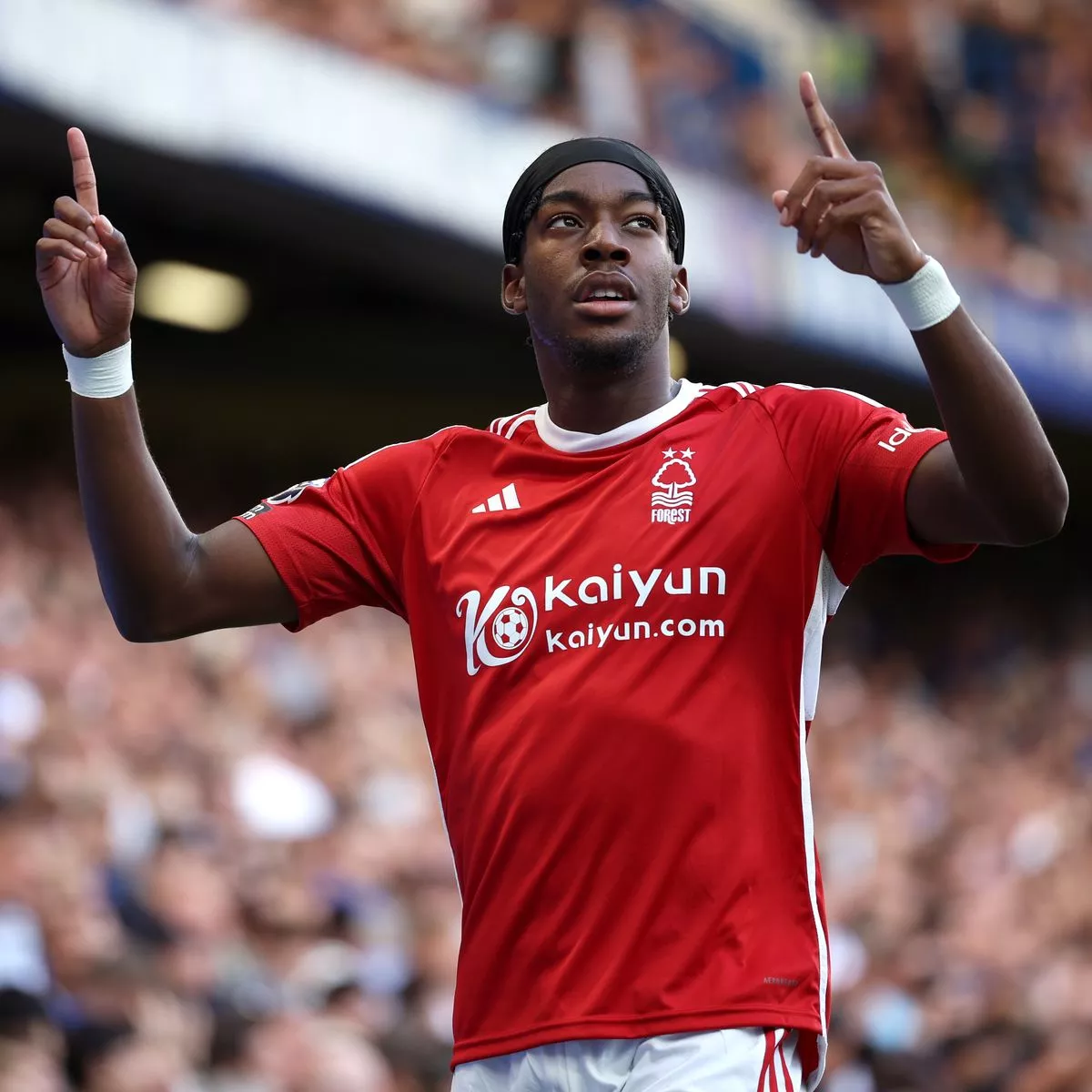 ئانتۆنی ئیلانگا