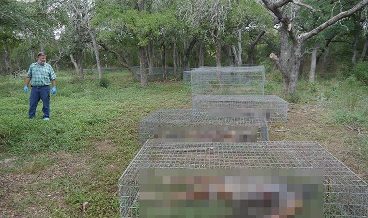 Termên mirovan ên di qefesan de Termên mirovan ên di qefesan de