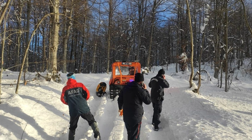 Arama çalışmalarından kare-DHA
