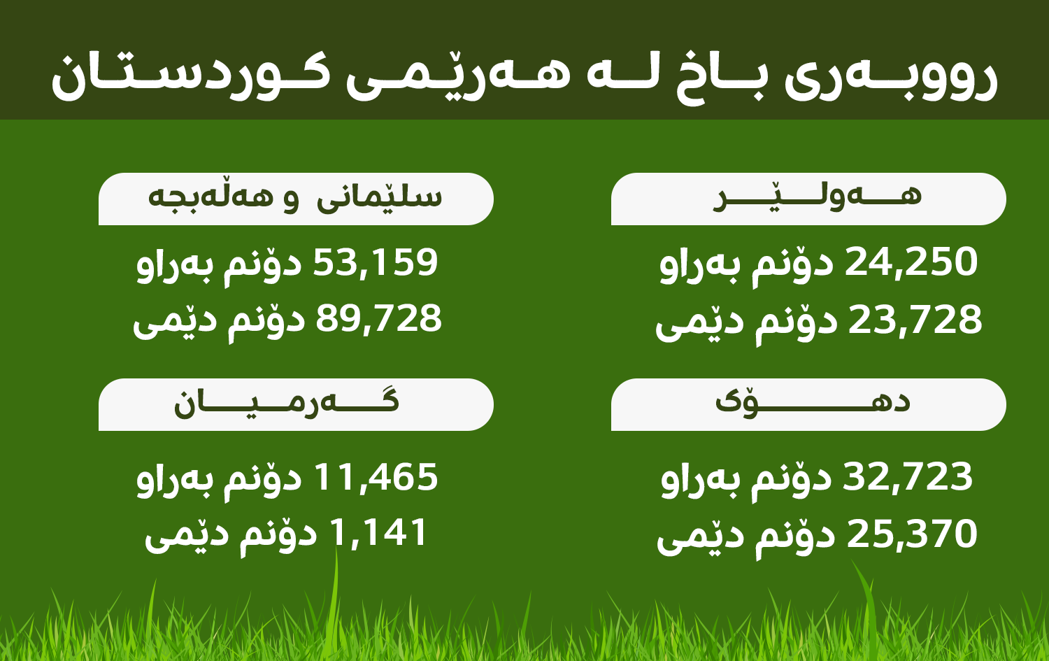 رووبەری باخ بە گرافیک