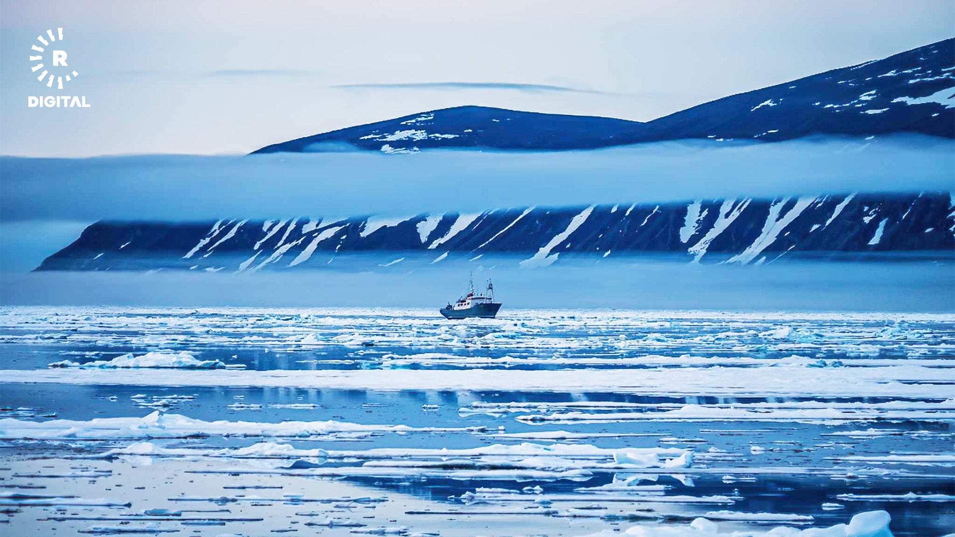 دوورگەی فیپس. وێنە: رێبین وایەڵدمان
