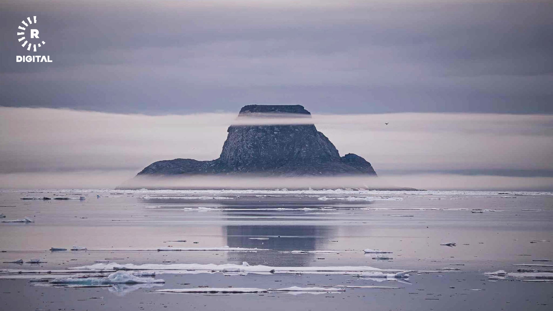 وێنەیەک لە دوورگەی رۆس سڤاڵباردەوە کە لەلایەن رێبین وایەڵدمانەوە گیراوە.