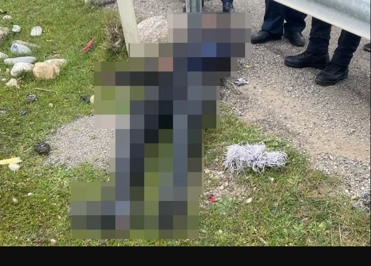 Pîlot canê xwe ji dest da/Wêne: DHA