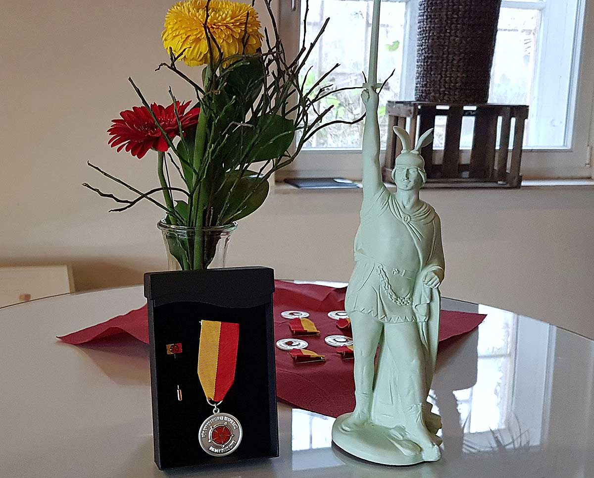 Delil Süleyman'ın Almanya Cumhurbaşkanı'ndan aldığı madalya