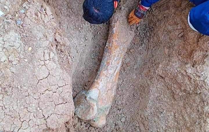 دیمەنێکی دیکەی ئێسکەکە.