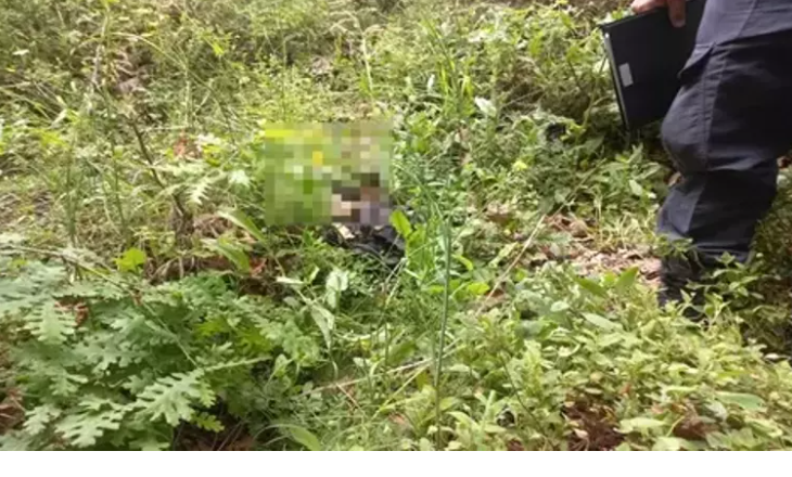 Berzeg'e ait olduğu düşünülen kemik - DHA