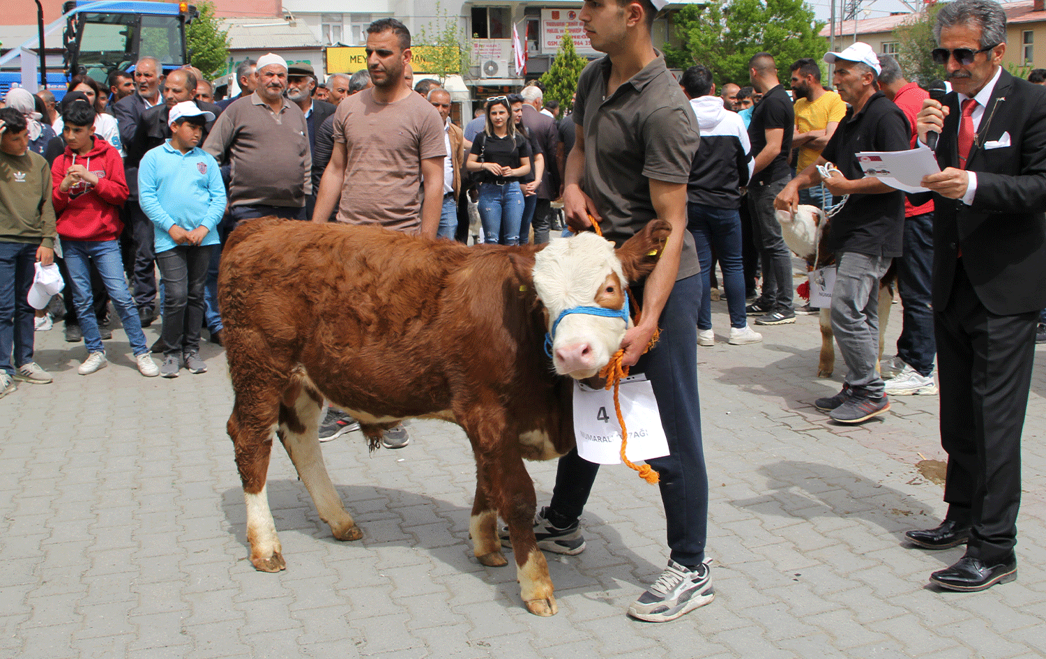 ÎDIR – Pêşbirka golik, berxik û karikên herî xweşik hat kirin