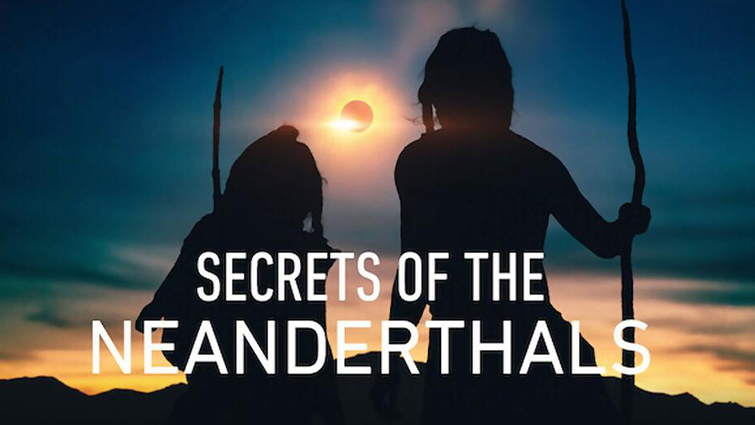 ملصق الفيلم