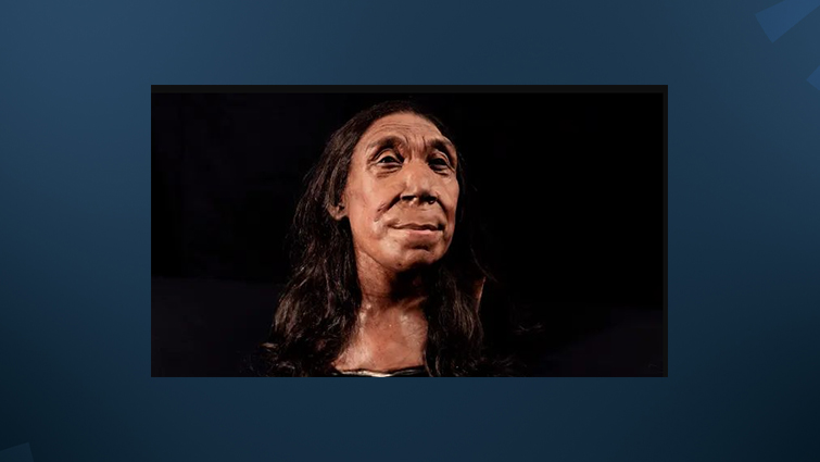 صورة توضيحية تقريبية لانسانة نياندرتال